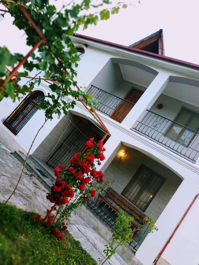 Villa "Zepuri" Душети Экстерьер фото
